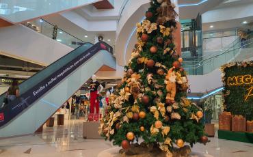 Dicas de Presente de Natal na 44 em Goiânia por até R$50,00