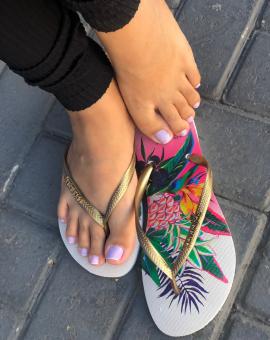 Havaianas Feminina Slim Estampada