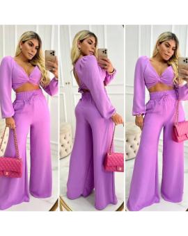 Conjunto Calça Pantalona com Elástico e Cropped Transpassado