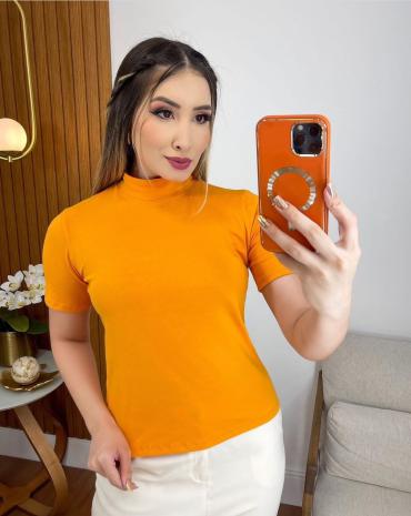 t-shirt-gola-alta-feminina-no-algodao-manga-curta-atacado-rua-44-goiania 