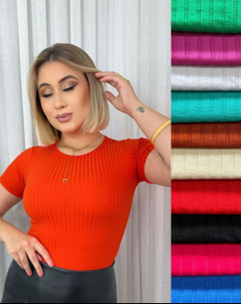 Blusa Basica Canelada Premium Gola O Manga Curta