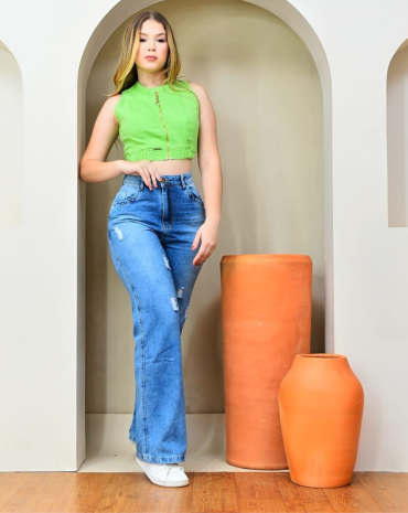 calca-jeans-wide-leg-feminina-cintura-alta-atacado-rua-44-goiania 