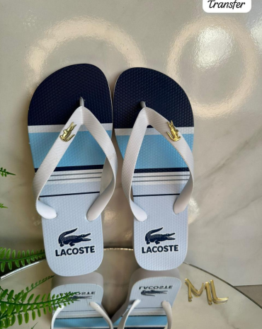 chinelo-havaianas-masculino-lacoste-atacado-rua-44-goiania 