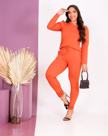 conjunto-feminino-calca-e-blusa-manga-longa-liso-atacado-rua-44-goiania 