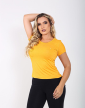 T-shirt Básica Feminina Viscolycra Atacado na Rua 44 Goiânia