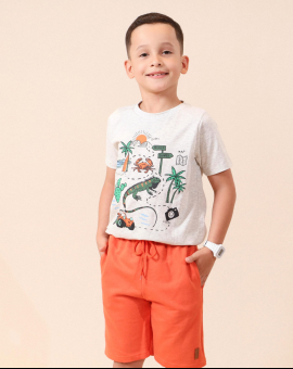 Conjunto Infantil Menino Short e Camiseta Estamapada