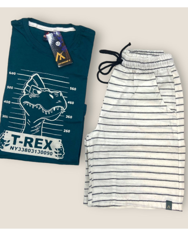 conjunto-para-menino-estampa-de-dinossauro-atacado-rua-44-goiania 