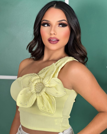 cropped-flor-nula-manca-caneladinho-atacado-rua-44-goiania 