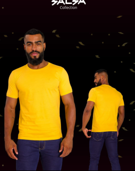 Camiseta Masculina Básica Gola O