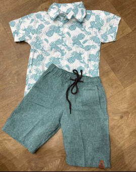 Conjunto Infantil Camisa Estampada e Short