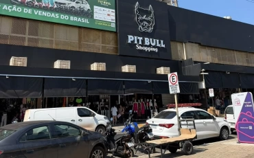 Pit Bull Shopping